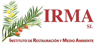 Formación IRMA